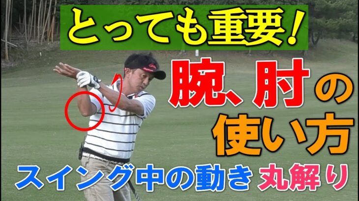 ゴルフスイングの手、腕、肘の使い方、動かし方、コッキング等をスギプロがレッスンします。